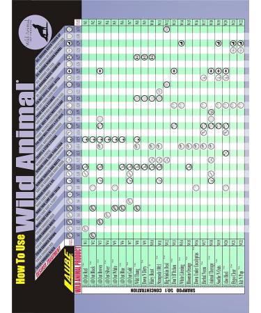 Wild Animal Kit n Pup 50:1 Shampoo - 11.7 fl. oz | Best International Shipping - Buy Online on GoSupps.com