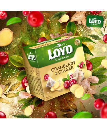 LOYD Tea - Cranberry with Ginger (6 Pack) - Buy Online on GoSupps.com