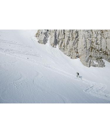POMOCA Race Pro 2.0 Climbing Skin 155cm - Ideal for Backcountry Skiing and Randonee Racing - Buy Online on GoSupps.com