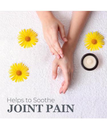 db Sweet Birch Joint & Muscle Therapy | All Natural Shea Arnica Lavender & Menthol | Thick Formula Made in USA - Buy Online on GoSupps.com