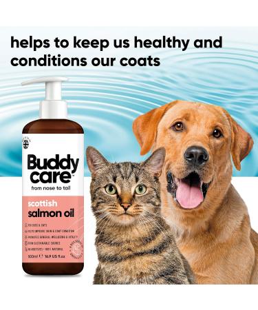 Buddycare Salmon Oil Supplement for Dogs & Cats - Omega-3 Fatty Acids for Healthy Coat & Skin (500ml) - Buy Online on GoSupps.com