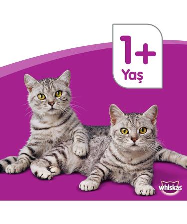 whiskas Multipack Food in the selection of Junior Cats Gelatin Meat (4 Bags x 100g) - Buy Online on GoSupps.com