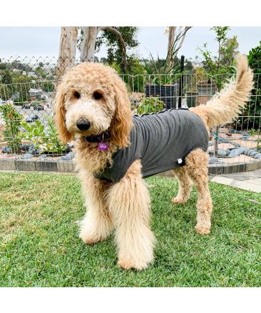 Shop Doton Hospital Suit for Dogs & Cats - Wound Protection & Medical Clothing for Post-Op Care (M Gray) - Buy Online on GoSupps.com