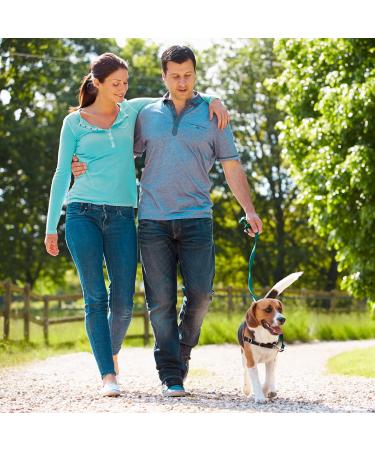 MagCombo Pure Magnesium Concentrate Oily Formula (Special) for Optimal Absorption Enriched with Vitamins B2 6 12 & C Lab Tested (Pack of 1) - Buy Online on GoSupps.com