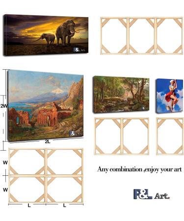 36x48 DIY Solid Wood Canvas Frame Kit for Oil Painting & Wall Art - Customizable Wooden Frames - Easy Build Stretching System - Framed Picture Accessories - Buy Online on GoSupps.com