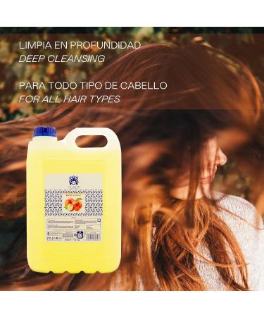 Valquer Professional Special Apple Shampoo for Hairdressing Shampoo for Professional Carafa 5000 ml - Buy Online on GoSupps.com