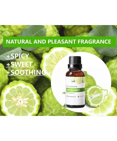 Bergamot Essential Oil 1 oz (30ml) -100% Natural and Pure Therapeutic Grade-Premium Quality Sourced from Italy-Natural Stress Reliever and Mood Lifter - Buy Online on GoSupps.com