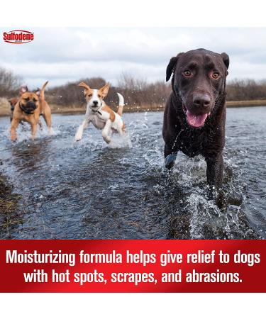 Sulfodene Hot Spot & Itch Relief Dog Spray 8 oz - Soothes Irritated Skin - Buy Online on GoSupps.com