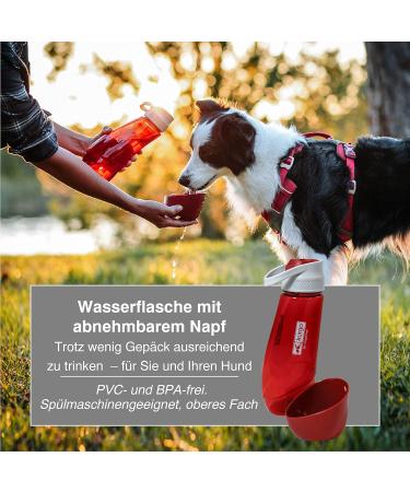 Kurgo Gourd Dog Water Bottle & Bowl - PVC & BPA Free 750ml/250ml Red - Ideal for Dogs on the Go! - Buy Online on GoSupps.com
