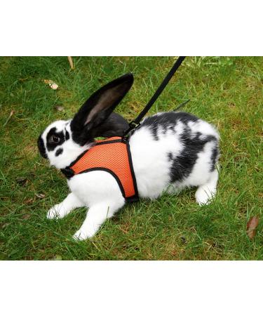 Shop Kerbl Rabbit Harness with Flexible Leash - Adjustable 22-26 cm Neck & 33-43 cm Belly | International Shipping Available - Buy Online on GoSupps.com