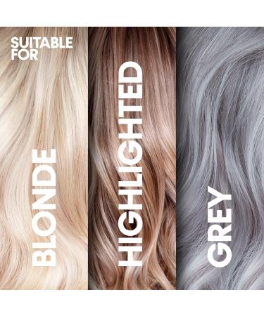 PROVOKE Touch of Silver Leave-In Conditioner Protects Against Heat Damage & Split Ends 150ml - Buy Online on GoSupps.com