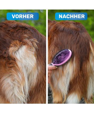 Bluepet Double-Decker 2-in-1 Dog Brush | Long & Short Hair | Perfect for Puppies & Cats | Daily Fur Care Tool - Pink - Buy Online on GoSupps.com