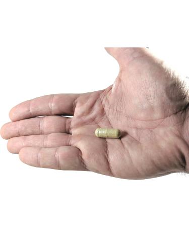 Super Wellness Immune Booster - Quercetin Immunity Support 25 Vitamins Herbs Superfoods Mushrooms - Vitamins C & E - Selenium - Turmeric - Immune Defense Supplement - 60 Capsules - Buy Online on GoSupps.com