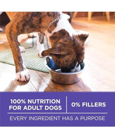 Purina ONE +Plus Senior Dry Dog Food Healthy Aging 7+ with Chicken - 11.7 kg Bag 11.7 kg (Pack of 1) - Buy Online on GoSupps.com