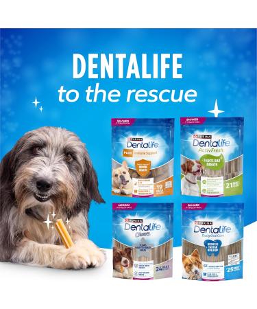 DentaLife Chews Dog Treats for Small Breed Dogs - 595 g Pouch (1 Pack) 40 count (Pack of 1) - Buy Online on GoSupps.com