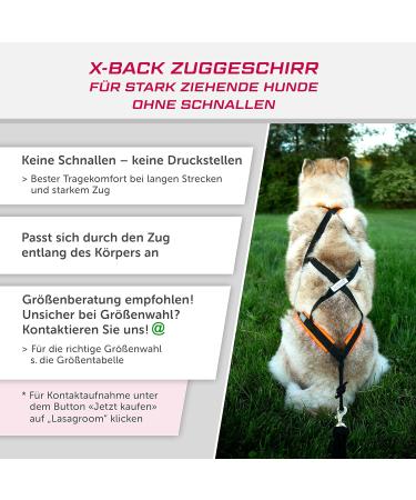 LASALINE Dog Harness X Back - Premium Canicross Dogscooter & Bikejoring Harness for Large Dogs | Black & Light Blue XXXL - Buy Online on GoSupps.com