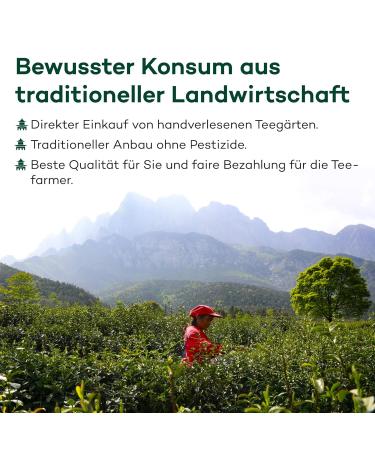 Buy Dong Ding Ming Xiang Oolong Tea | Premium Taiwanese Oolong Tea from Dong Ding Highlands - 50g - Buy Online on GoSupps.com