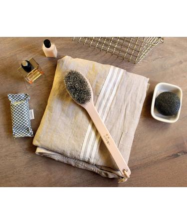 Japanese Body Brush for Bath or Dry Brushing - Exfoliation & Cellulite Treatment - Long Handle, Hard Bristles - Buy Online on GoSupps.com