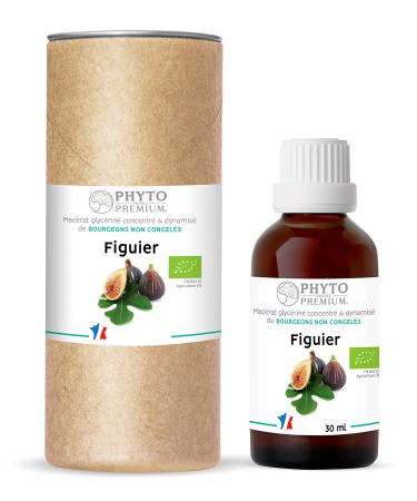 Gemmotherapy FIG TREE - Ficus carica (ORGANIC)