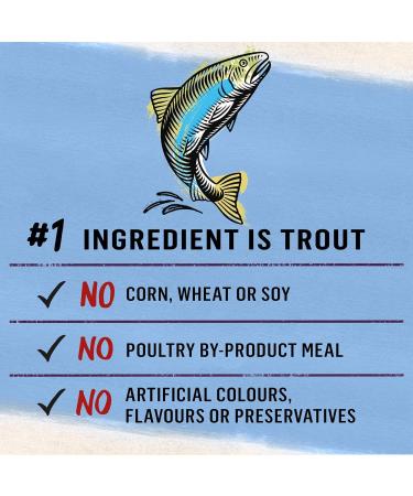 Beyond Wet Cat Food Trout & Catfish Pate - 85 g Can (12 Pack) & Grain Free Natural Wet Cat Food Pate Variety Pack 3 Flavours - 85 g Can (12 Pack) Pate + Cat Food 12-85g Cans - Buy Online on GoSupps.com