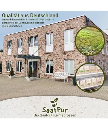 SaatPur BIO Keimsprossen Set 5 Sorten Asia Mix | Bockshornklee Alfalfa Mungo Senf Porree & Schnittknoblauch | Internationaler Versand - Buy Online on GoSupps.com