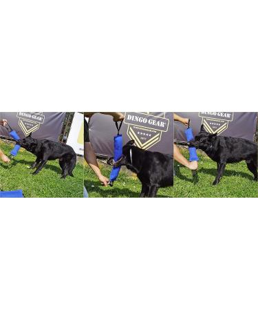 Dingo Gear Cotton Nylon Bite Sausage for Dog Training - 45x8 cm Dual Handles Red | IGP IPO Obedience & Protection Sport - Buy Online on GoSupps.com