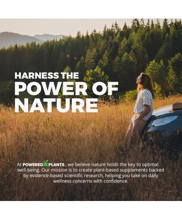 Liposomal Astaxanthin 24mg + Lycopene 50mg 60 Capsules | Potent Antioxidant for Eye Skin Heart & Immune Support | Natural MicroAlgae + Carotenoids Complex | Superior Absorption | 2-Month Supply - Buy Online on GoSupps.com