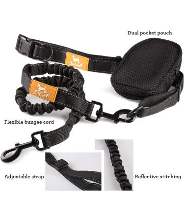 Buy Hand-Free Jogging Leash for Dogs | Elastic Bungee Belt for Running & Hiking | Supports Up to 60kg - Ideal for Two Dogs - Buy Online on GoSupps.com