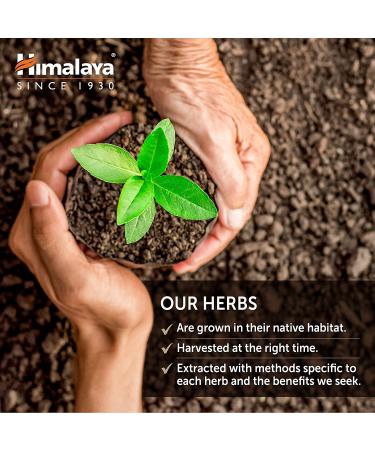 Himalaya DermaCare Neem | Clear Skin & Mild Acne | 120 Capsules | 1 Month Supply - Buy Online on GoSupps.com
