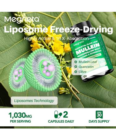 MEGNETA Lung Health Support Capsules Mullein Leaf Olive Leaf Marshmallow Root 60 Count - Buy Online on GoSupps.com