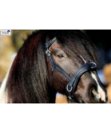 Natan Leather Cavesson for Coldbloods | Ergonomic Eye Clearance | VB WB X Full | Tysons Runs Large (XXF) - Buy Online on GoSupps.com