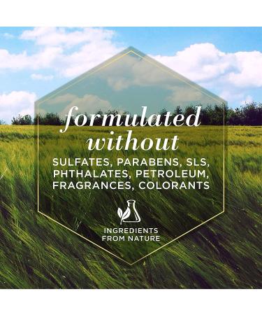 Burt's Bees Whitening Shampoo for Dogs - Papaya & Yogurt - 16 fl oz - Buy Online on GoSupps.com