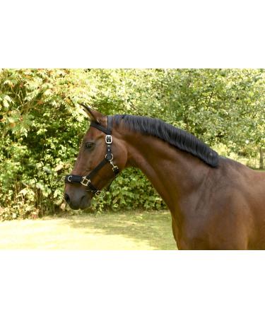 Kerbl Plastic Lunge Halter - Black Warmblood | Durable Lightweight & Perfect for Training - International Shipping Available - Buy Online on GoSupps.com