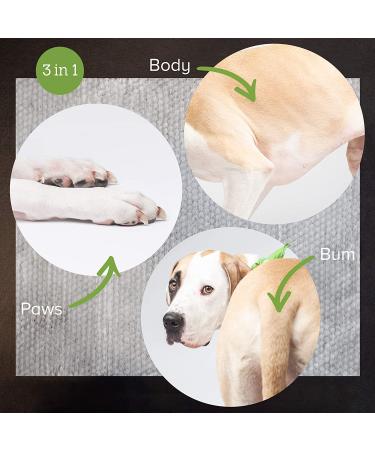 Earth Rated Dog Wipes - Plant-Based, Compostable, Hypoallergenic Grooming Wipes for Dogs - Buy Online on GoSupps.com