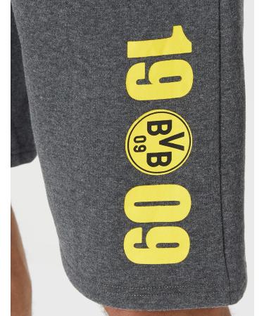 Buy Borussia Dortmund Unisex Shorts - BVB Adult Grey Shorts | International Shipping Available - Buy Online on GoSupps.com