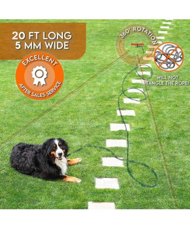 Sliridog 6m Cable & Stake for Large Dogs - Heavy Duty Secure for Courtyard Beach & Camping - Holds Up to 90kg - Outdoor Pet Solutions - Buy Online on GoSupps.com