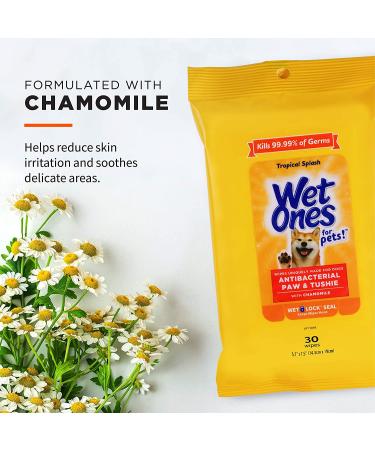 Wet Ones for Pets Paw & Tushie Dog Wipes - 30 Count, Dog Grooming and Cleaning Supplies - Buy Online on GoSupps.com