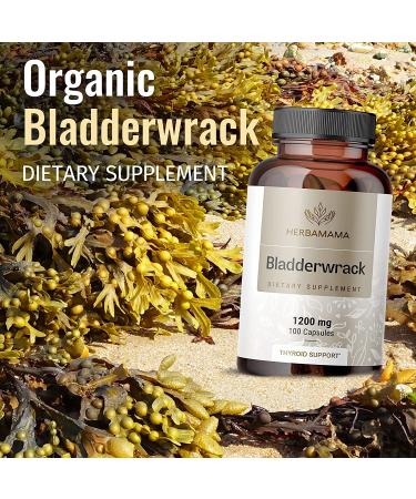 HERRBAMAMA Bladderwrack Capsules - 1200mg Natural Thyroid Support & Joint Health - Organic Vegan Supplement for Weight Management - Non-GMO Immune Booster - Buy Online on GoSupps.com