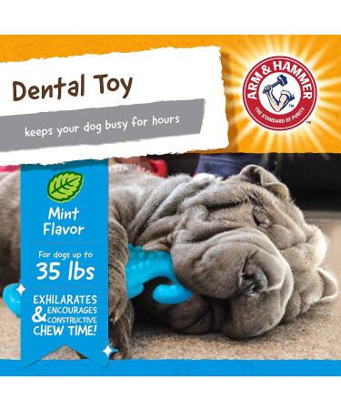 Arm & Hammer Nubbies Dental Chew Toy for Dogs - Plaque & Tartar Control Gator Toy - Buy Online on GoSupps.com