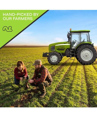 Raw Brazil Nuts In Shell - Whole Superior Quality (32oz - 2 LB) | Fresh Resealable Bag | Healthy Protein Snack | Natural, Keto-Friendly, Vegan, Kosher - Buy Online on GoSupps.com