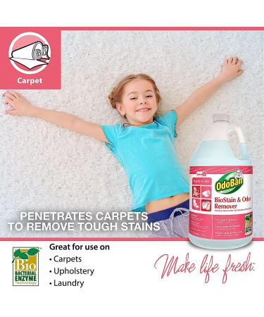 OdoBan Professional BioStain & Odor Remover - 1 Gallon | Ready-to-Use Cleaning Solution - Buy Online on GoSupps.com