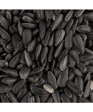 5kg Black Sunflower Seeds Wild Bird Food Sunflowers in Bucket (5kg) - Buy Online on GoSupps.com