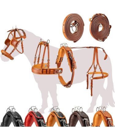 Esposita single-chipping "Professional" carriage dishes for Shetty pony and horse dishes for Minishetty to XL cold blood Routing dishes for single-brown X-SHOTY light brown
