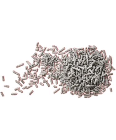 Breeder Celect Probiotic - Premium Gut Health Supplement for Pets - Buy Online on GoSupps.com