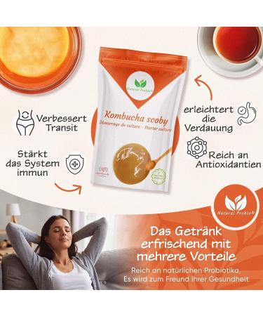 Natural Probio Original Kombucha Scoby - Culture Starter Kit | Authentic Kombucha Mother + Instructions Recipe Tips & Free E-Book - Buy Online on GoSupps.com