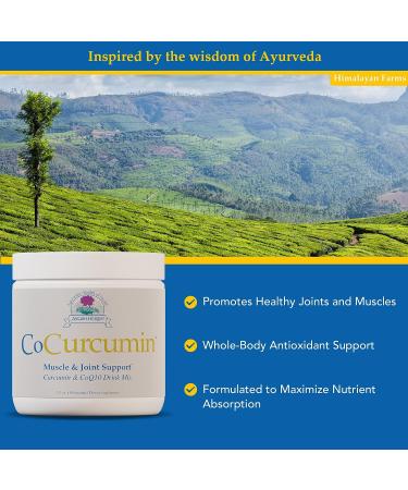 Ayush Herbs CoCurcumin Drink Mix 5.2 oz - Muscle, Joint, & Cognitive Support - Buy Online on GoSupps.com