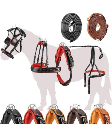 Esposita single-chipping "Professional" carriage dishes for Shetty pony and horse dishes for Minishetty to XL cold blood Routing dishes for one-time shetty black and red