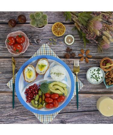 Raaz365 Portion Control Plates for Weight Loss adults  Diabetic portion control plates for adults  Healthy nutrition balanced diet plates  Pack of 2 Plates  Blue - Buy Online on GoSupps.com