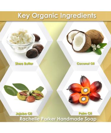 Natural Handmade Essential Oil Artisan Soap Bars - Hypoallergenic Moisturizing Shea Butter, Coconut Oil & Jojoba Oil - 6 Pack Gift Wrapped - Buy Online on GoSupps.com
