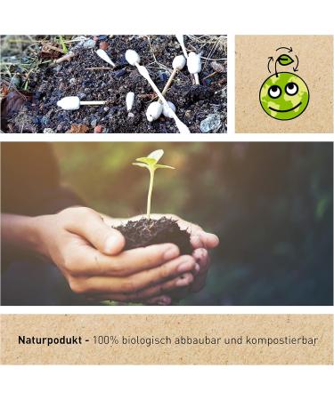 Eco-Friendly Bamboo Cotton Swabs - 55 Biodegradable Ear Sticks for Babies | Safe Sustainable Alternative to Plastic & Wood - Buy Online on GoSupps.com